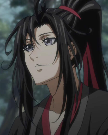 donghua wei wuxian